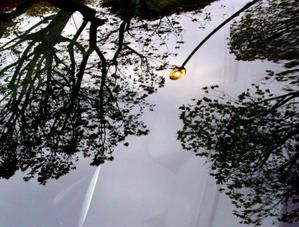 paroiverre-image.jpg