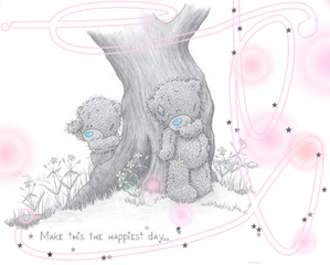 nounours gris me to you