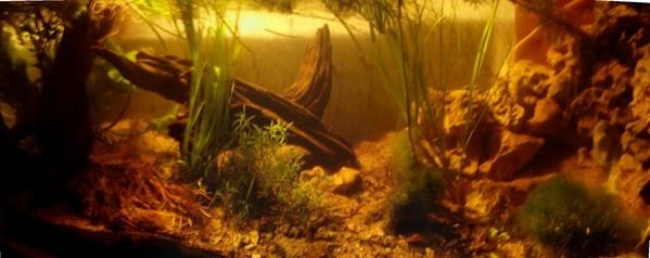 La rivière svir le domaine de Léningrad la pêche