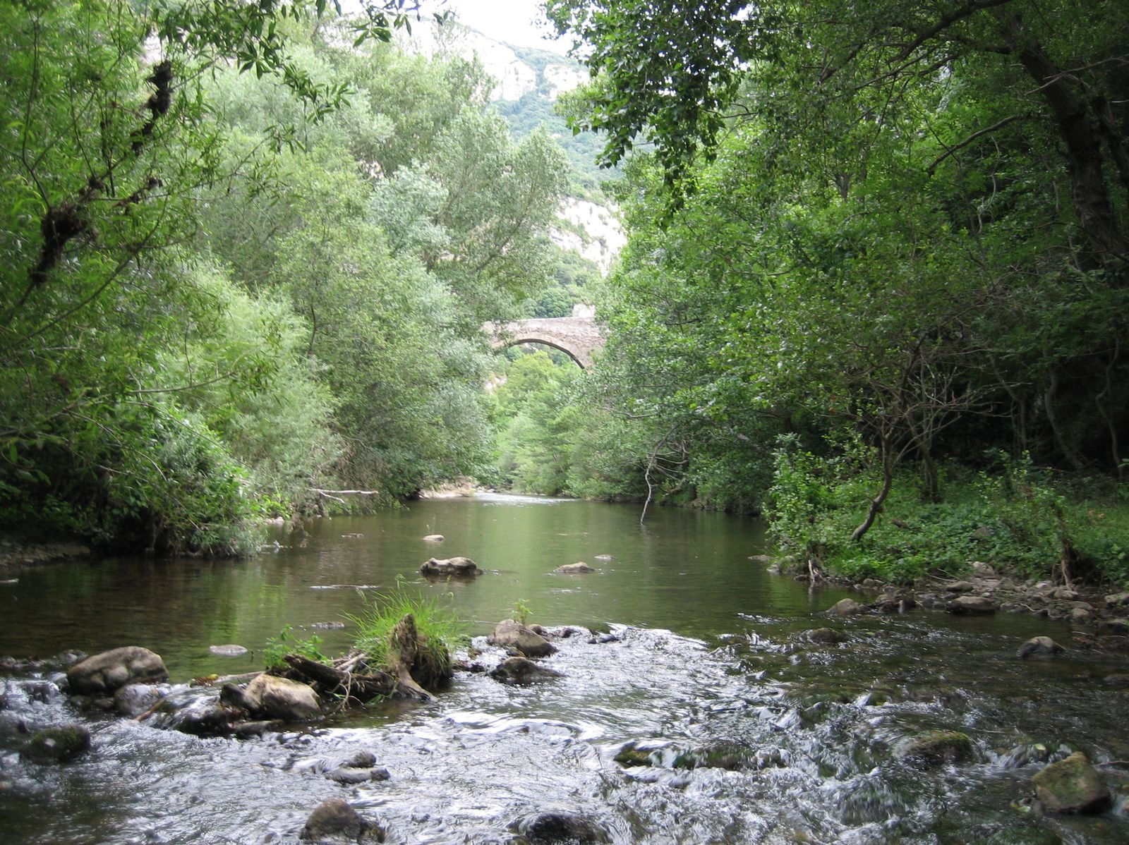L'Orbieu à Montjoi Sous les frondaisons