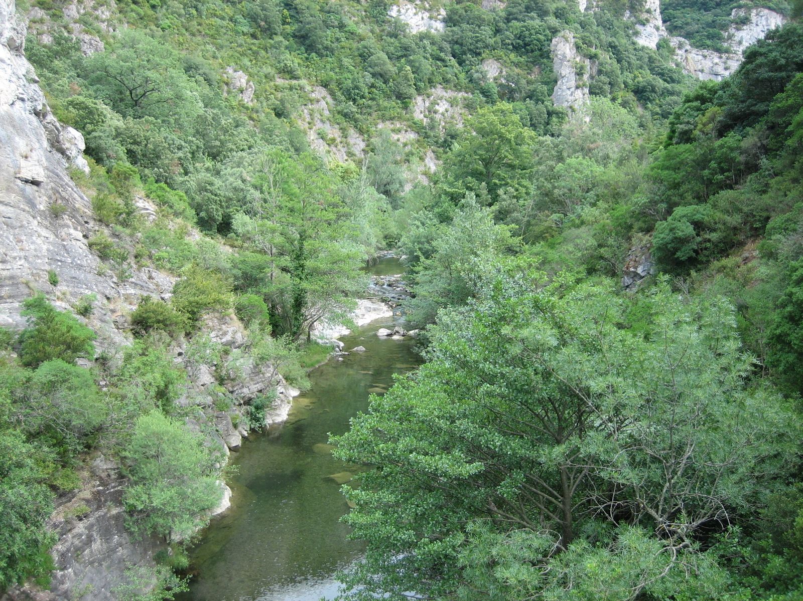 Gorges de l'Orbieu