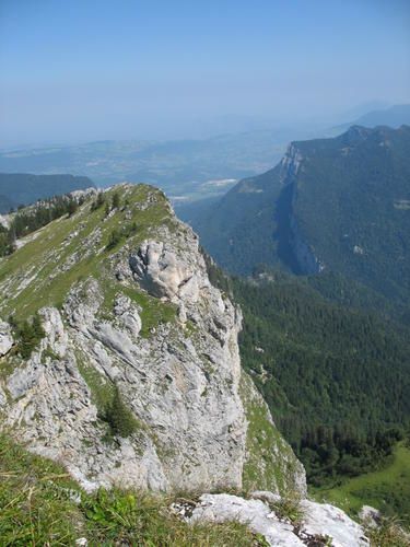 IMG-1620.jpg