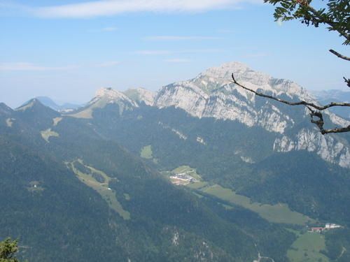 IMG-1647.jpg