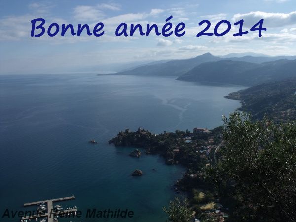 bonne-annee-2014.JPG