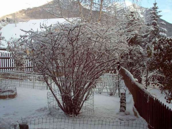 Vauban-sous-la-neige.jpg