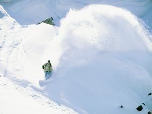 Avalanche-Turn-Brighton-Utah.jpg