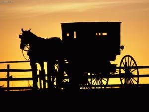 Amish-Horse-Drawn-Buggy-Pennsylvania.jpg