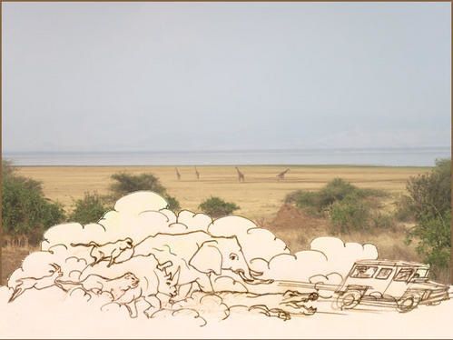 safari1.jpg