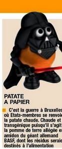 patate1-copie-1.jpg