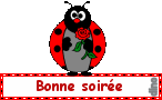 bonne-soir--e.gif