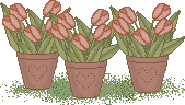 sprbrs_pots01.gif