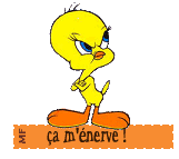 camenerve.gif