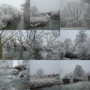 givre-2007.jpg