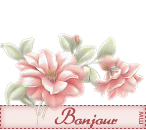 bonjour.gif