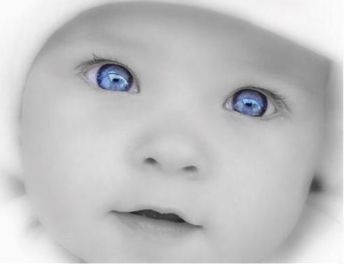 L-Baby-blue-eyes.jpg