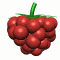 fruit040.gif