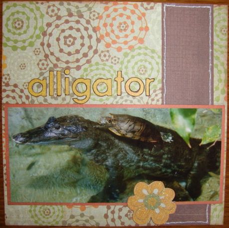 Alligator.JPG
