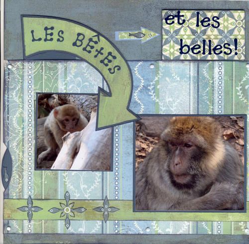 BELLES-web-copie-3.jpg