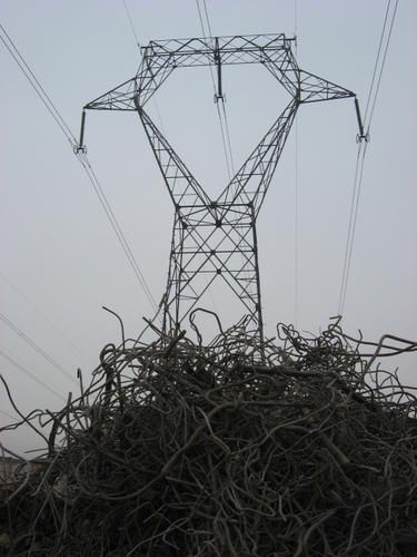 IMG-6251.jpg