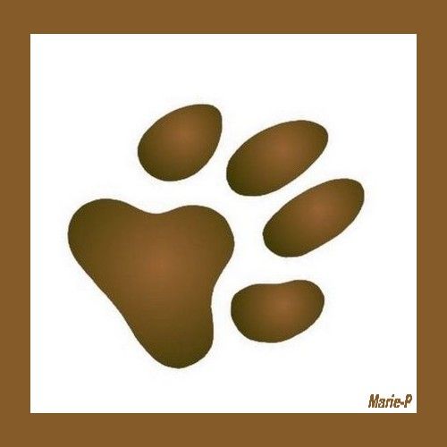 empreinte--de-chien.jpg