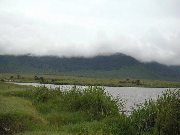 Tanzanie---Ngorongoro0083.JPG