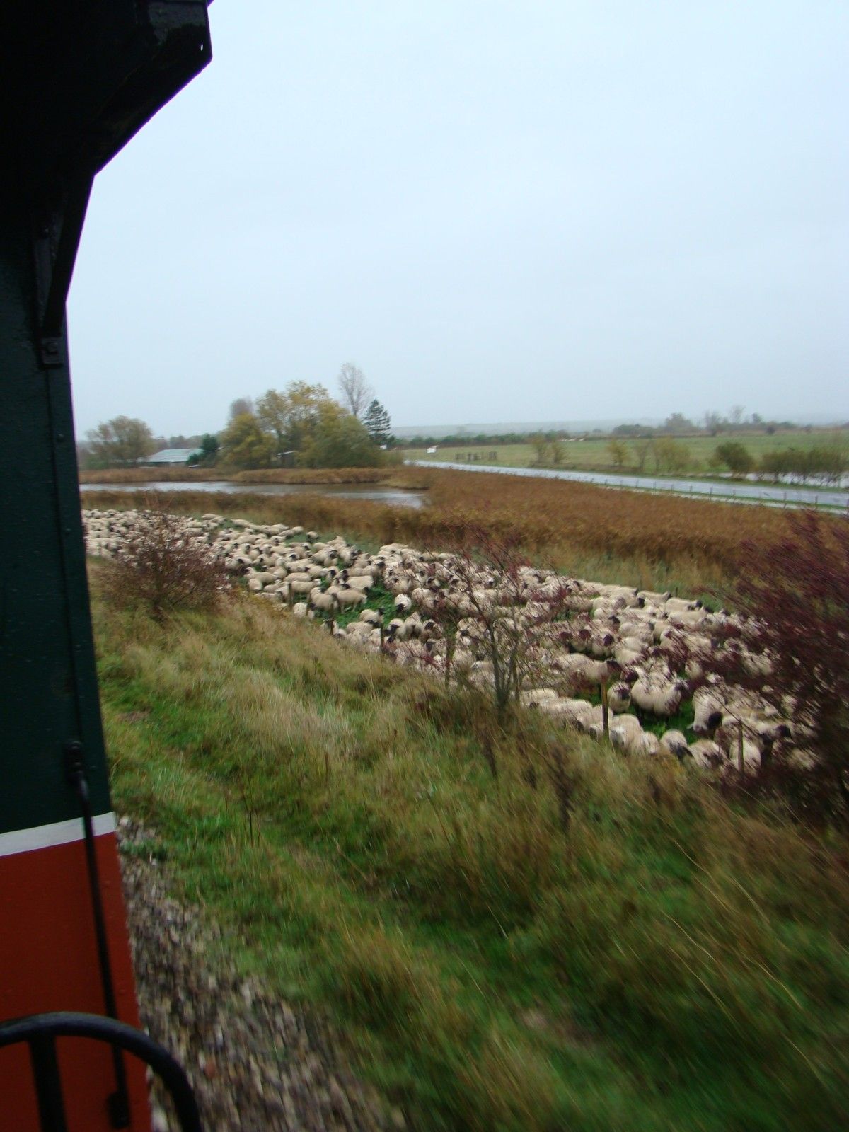 train touristique du crotoy