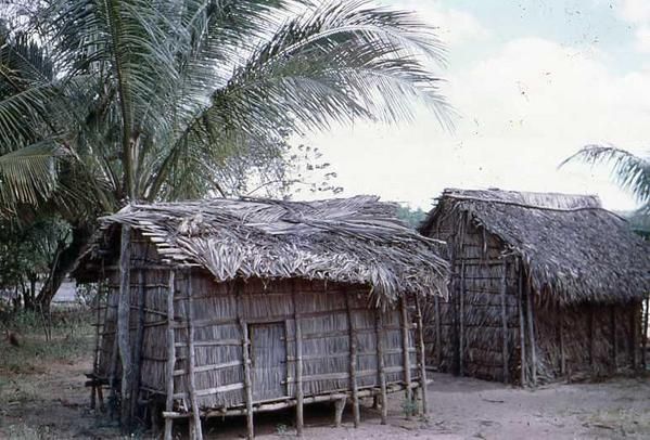 Madagascar--case-2.jpg