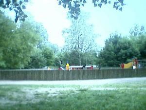 PARC-DU-LION.jpg