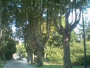 parc-georges-henri-2903.jpg