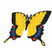 papillon-gif-008.gif