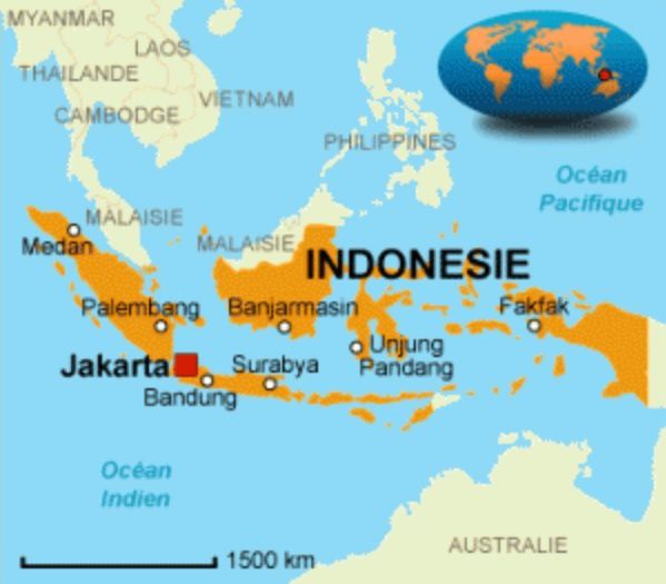 INDONESIE 1965 : le massacre occulté - Commun COMMUNE [le blog d'El Diablo]
