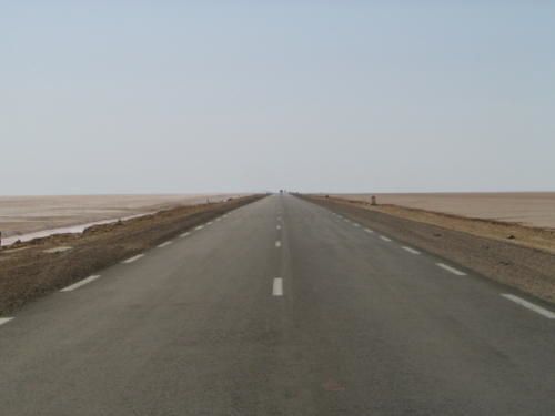 IMG-9126.JPG
