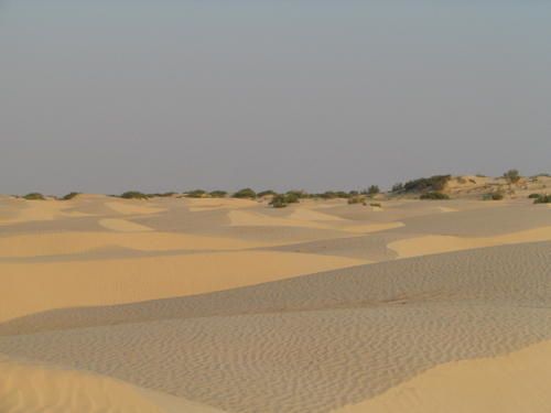 IMG-9153.JPG