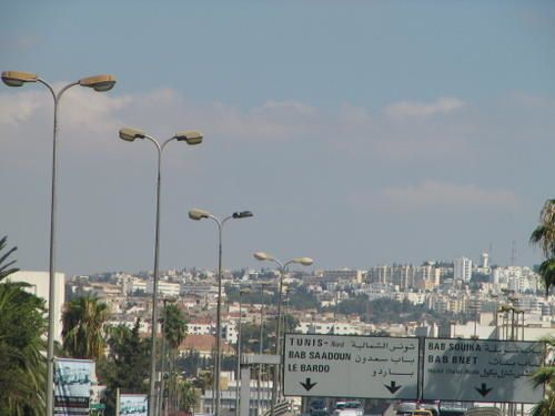 IMG-9341.JPG