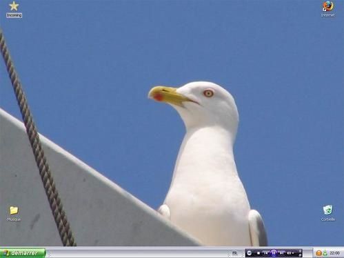 Sans-titre-1.jpg