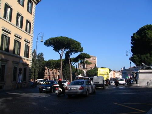 IMG-7514.JPG