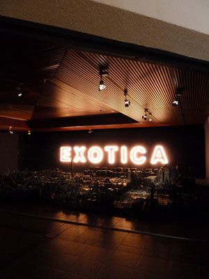 exotica8 300