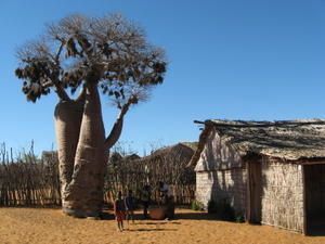 Madagascar--386-.JPG