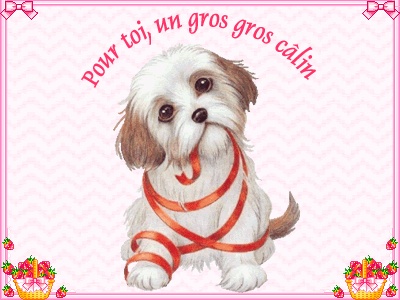 chien-niais-calin.gif