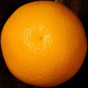 el ramon - creative commons
