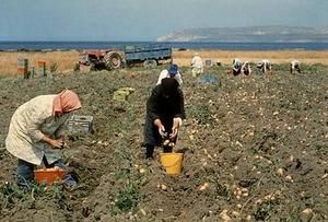 1-1-Ouvrieres-Agricoles.jpg