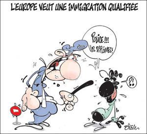 a-dilem-immigration-qualifi--e-copie-1.jpg