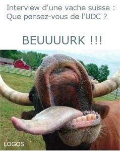 a-vache-suisse.jpg