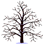 arbre3