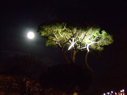 lune01.jpg