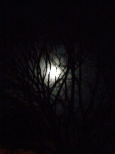 lune05.jpg