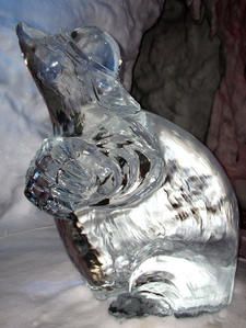 DSCN0759.JPG