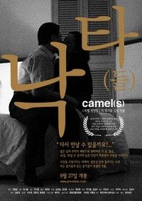 camels1.jpg