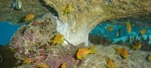 DSC04013a.jpg