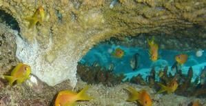 DSC04013c.jpg